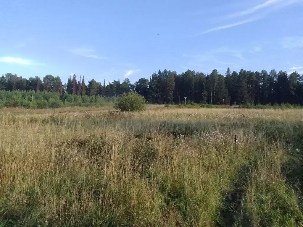 Участок в Пермский край, пос. Ильинский ул. Сосновая, 11 (25.0 сот.) - Фото 1