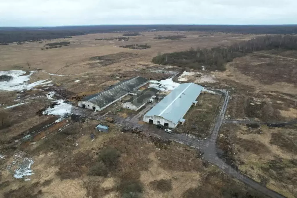 Склад в Калужская область, Юхновский муниципальный округ, Куркино ... - Фото 1