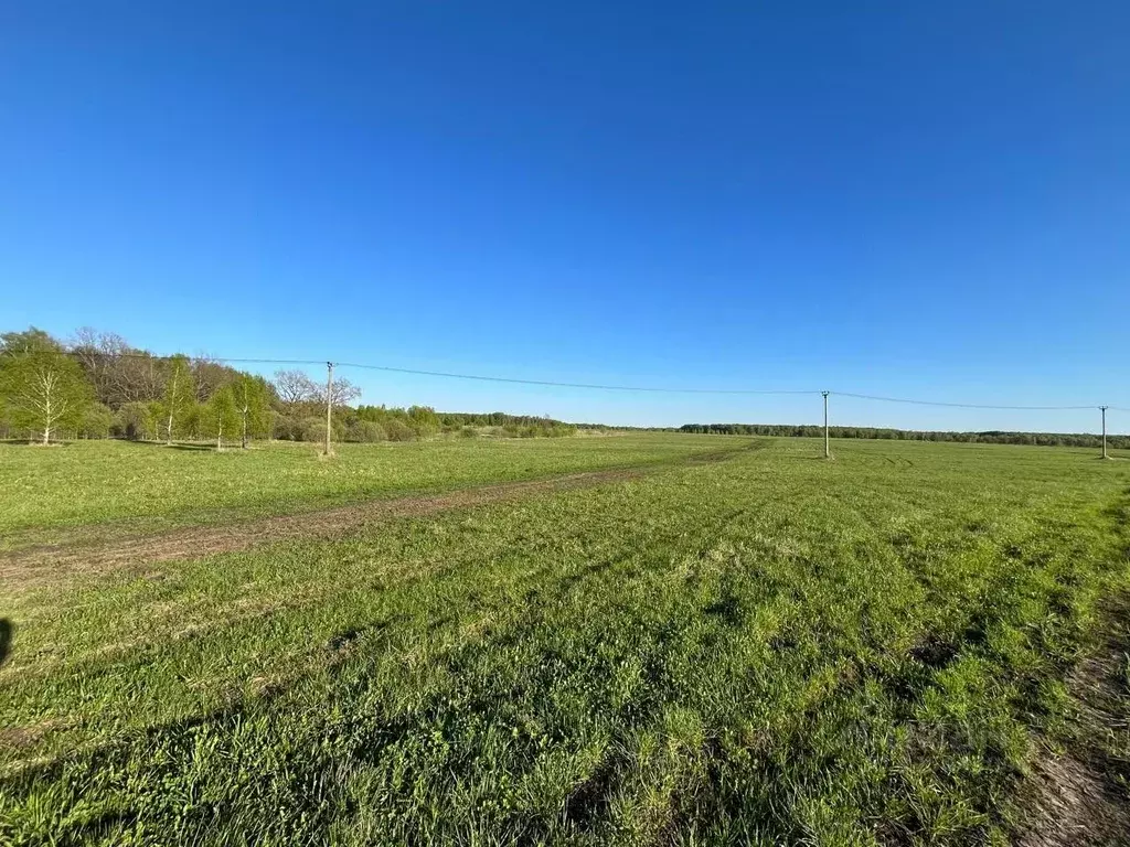 Участок в Московская область, Серпухов городской округ, д. Дубачино 2В ... - Фото 2