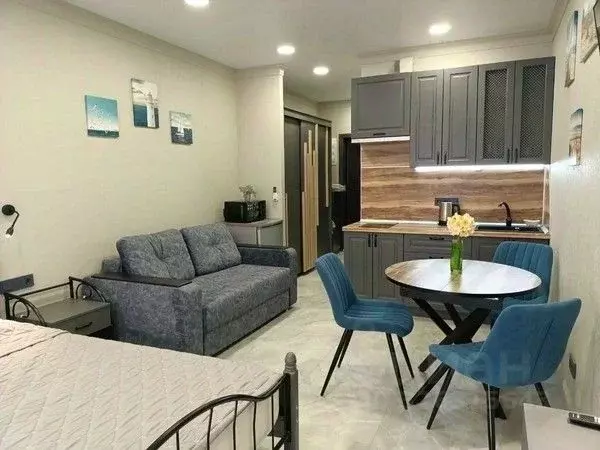 1-к кв. Краснодарский край, Анапа проезд Золотой Берег, 2 (26.6 м) - Фото 1