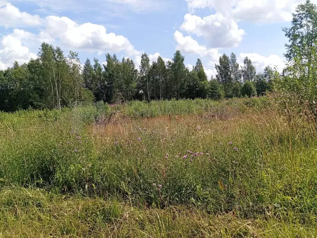 Участок в Новгородская область, Окуловский район, Турбинное с/пос, д. ... - Фото 1