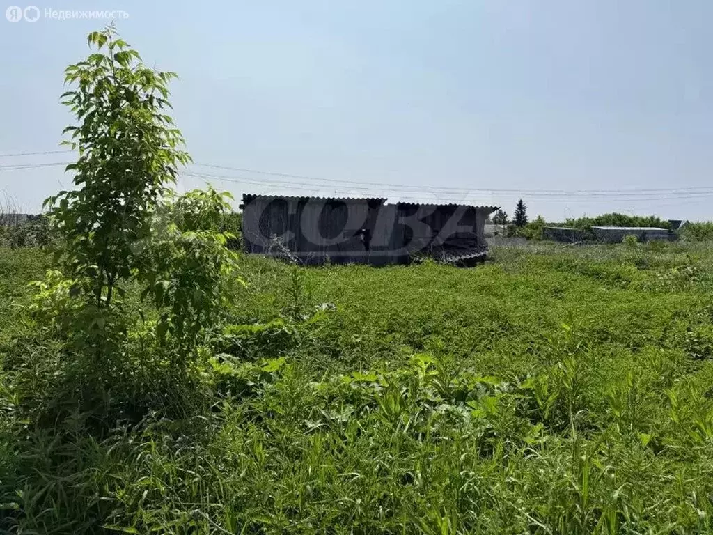 Участок в Исетский район, село Рафайлово (12.8 м) - Фото 0