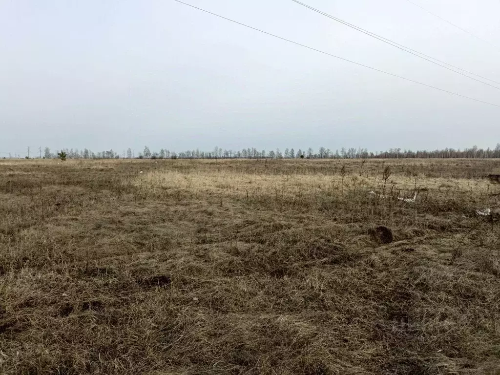 Участок в Тамбовская область, Тамбовский муниципальный округ, пос. ... - Фото 2