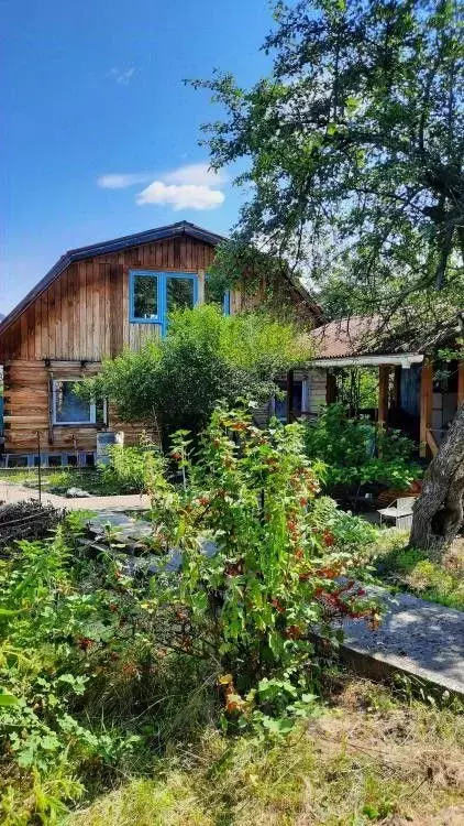 Дом в Хакасия, Майна рп ул. Некрасова, 14 (100 м) - Фото 1