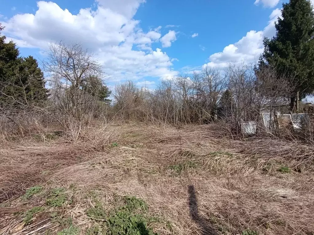Дом в Нижегородская область, Нижний Новгород с. Чернуха, ул. ... - Фото 2