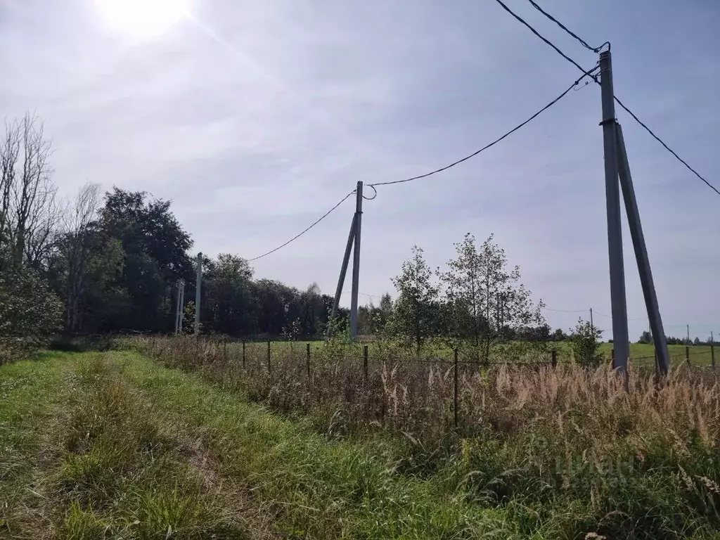 Участок в Московская область, Волоколамский муниципальный округ, с. ... - Фото 2