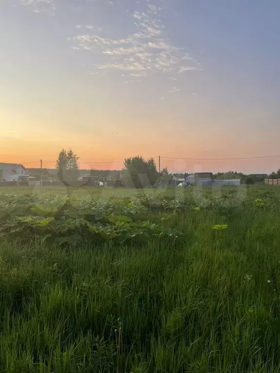 Участок 12 сот. (ИЖС) - Фото 0