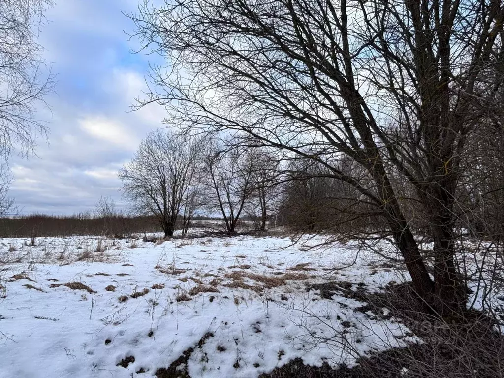 Участок в Московская область, Клин городской округ, д. Ватолино  (15.0 ... - Фото 1