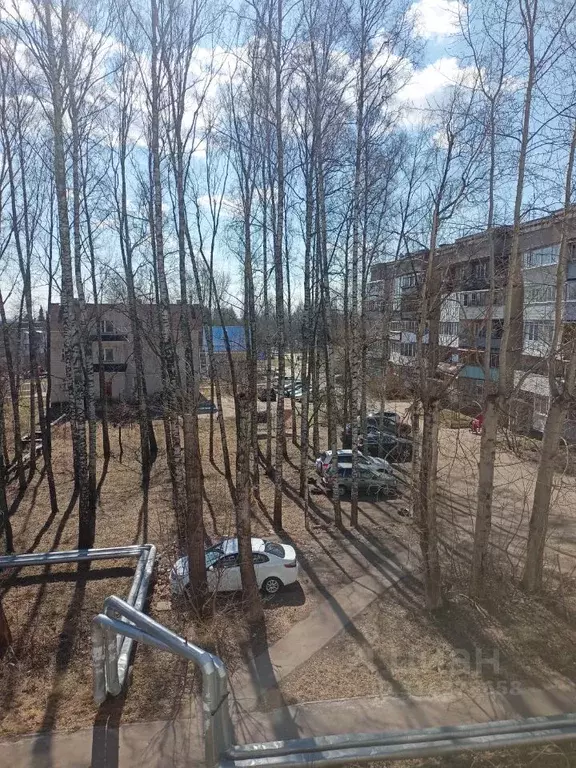 1-к кв. Нижегородская область, Нижний Новгород Селекционной Станции ... - Фото 1