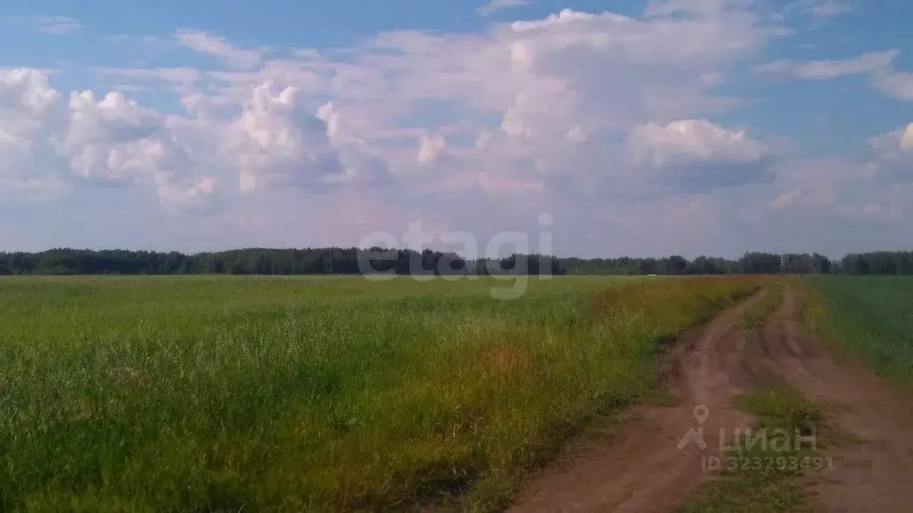 Участок в Тюменская область, Исетский муниципальный округ, с. ... - Фото 1