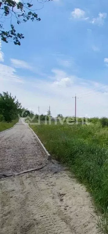 Участок в Калининградская область, Янтарный городской округ, пос. ... - Фото 1