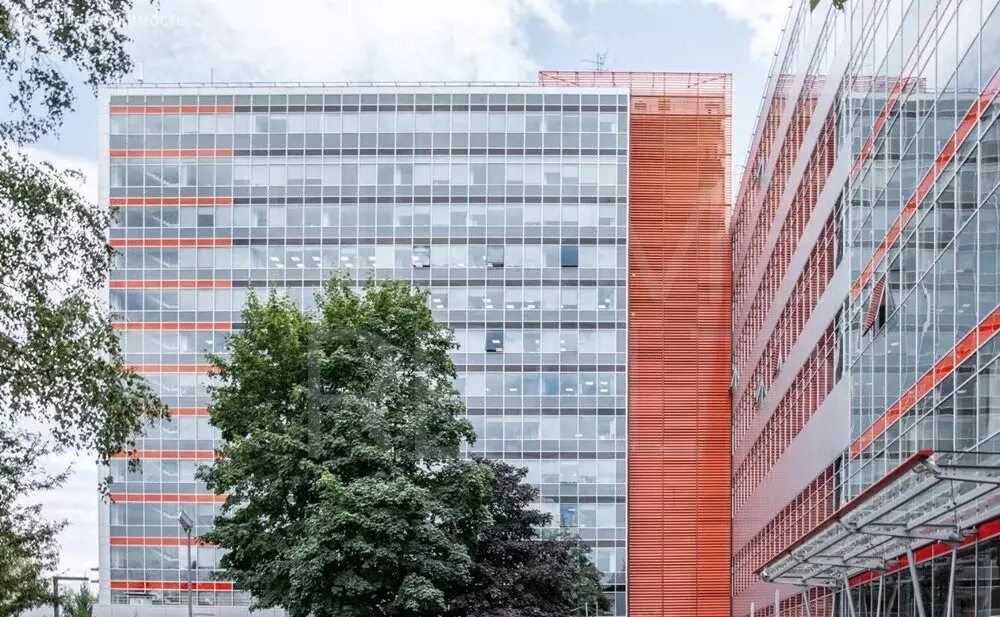 Офис (562 м) - Фото 2