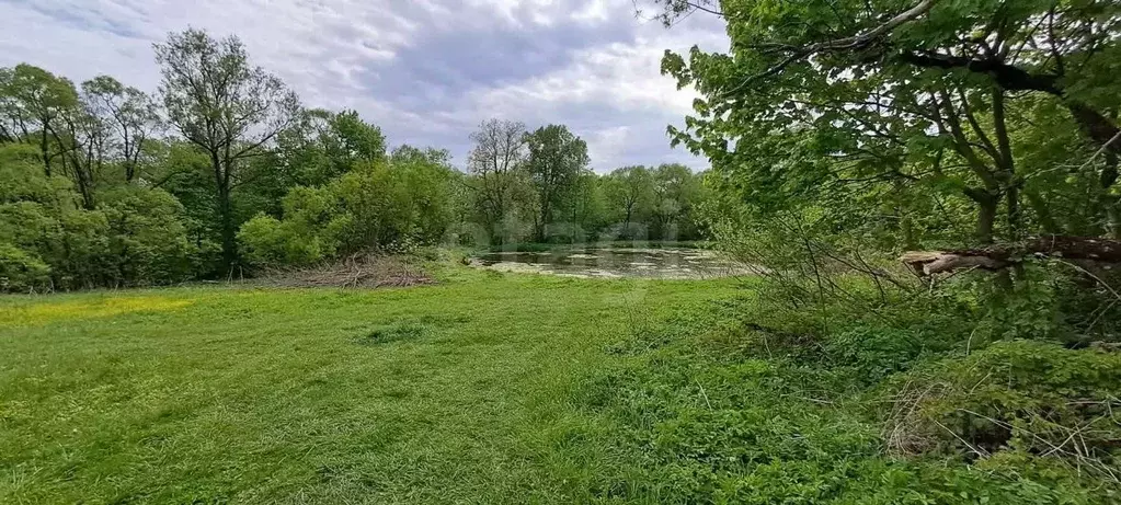 Участок в Тульская область, Алексин городской округ, пос. Мичурина  ... - Фото 0