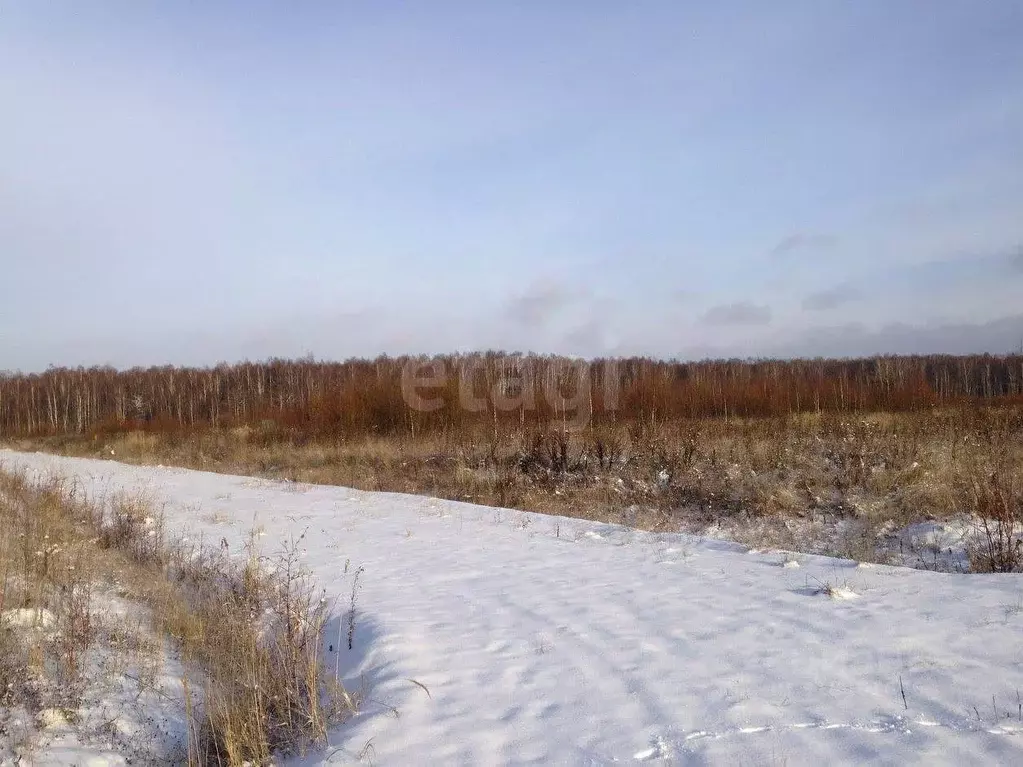 Участок в Амурская область, Благовещенский район, с. Усть-Ивановка  ... - Фото 1