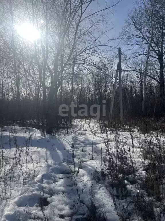 Участок в Хабаровский край, Комсомольск-на-Амуре  (10.0 сот.) - Фото 1