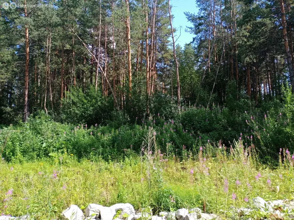 Участок в Екатеринбург, Местный переулок (15.7 м) - Фото 1