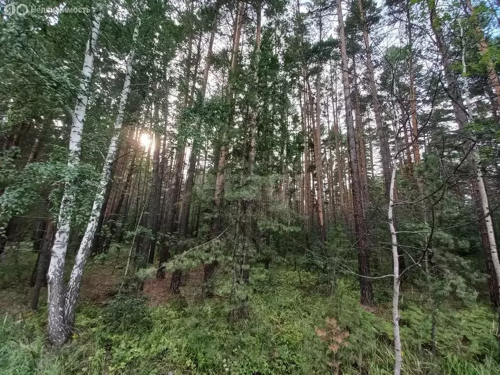 Участок в посёлок Карагандинский, Центральная улица (12 м) - Фото 0