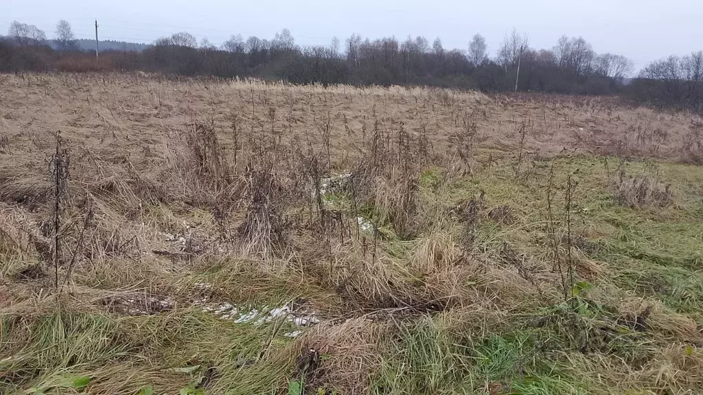Участок в Московская область, Можайский муниципальный округ, д. ... - Фото 1