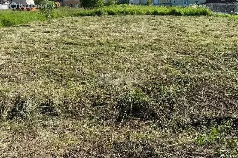 Участок в Ярославский муниципальный округ, ДНП Новые Сады-3, Лиловая ... - Фото 1