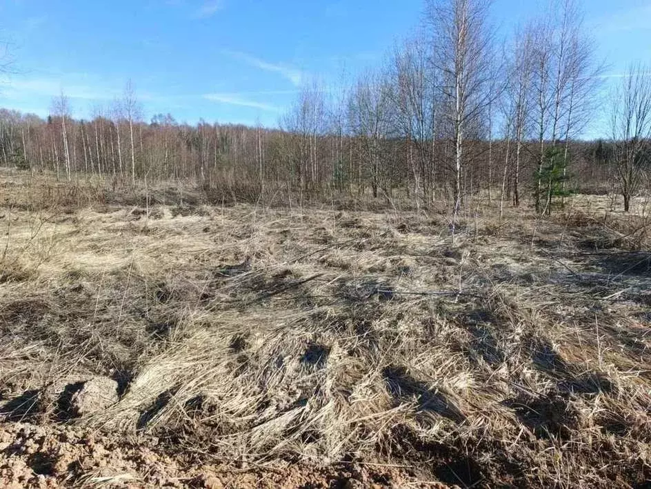 Участок 8,13 га (ИЖС) - Фото 0