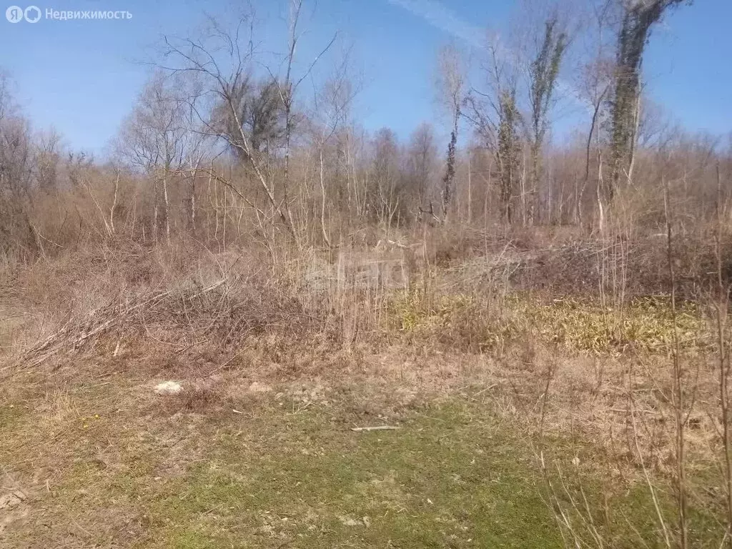 Участок в село Верхнениколаевское, садоводческое товарищество Знание ... - Фото 1