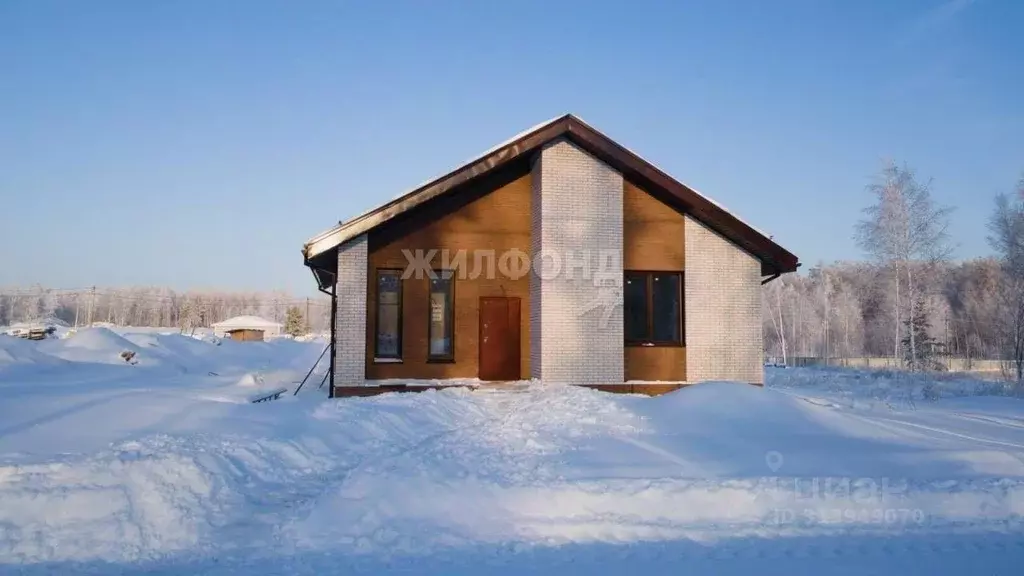 Дом в Новосибирская область, Ордынский район, с. Красный Яр  (85 м) - Фото 0