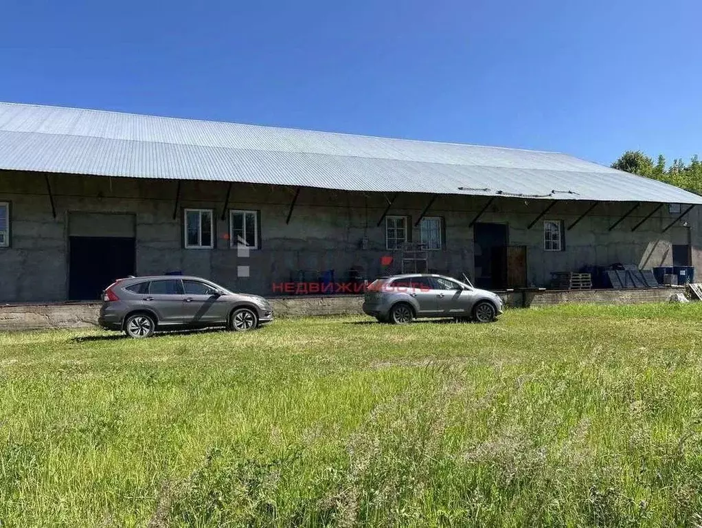 Производственное помещение в Ярославская область, Некрасовский ... - Фото 2