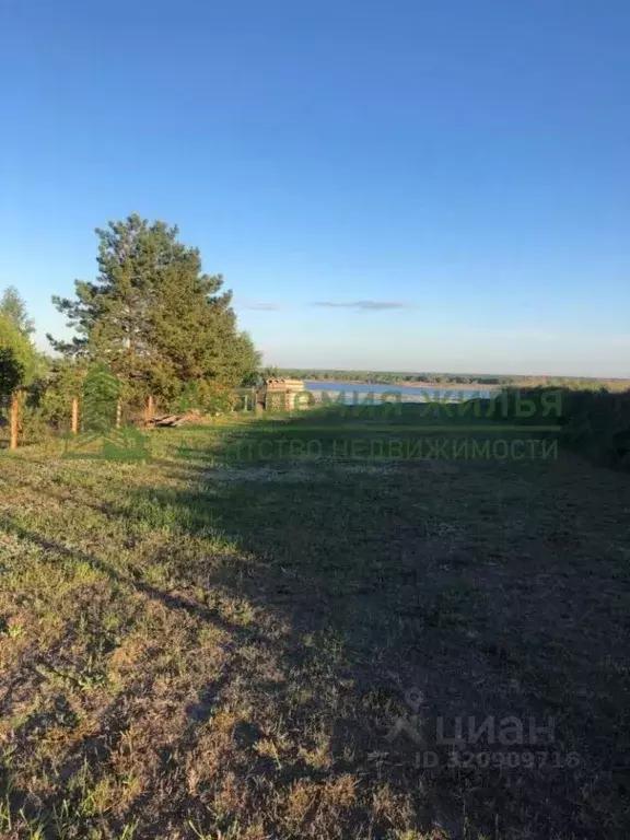 Участок в Саратовская область, Воскресенский район, Синодское ... - Фото 2