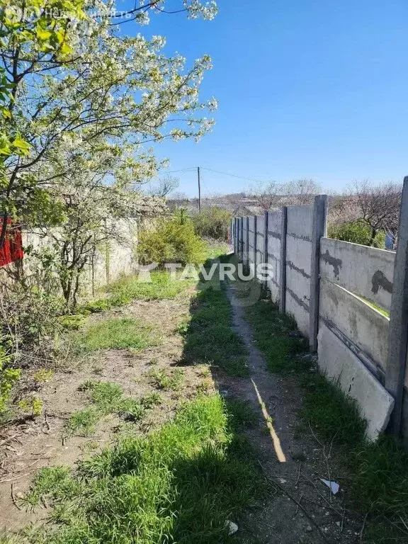 Участок в Севастополь, садоводческое товарищество Ветеран, 82 (4.8 м) - Фото 2