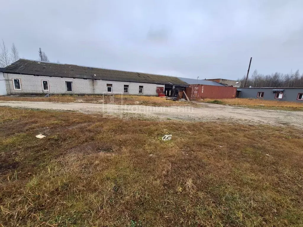 Помещение свободного назначения в Владимирская область, Радужный кв ... - Фото 1