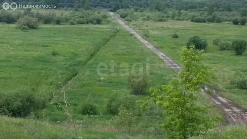 Участок в Тюменский муниципальный округ, село Луговое (100 м) - Фото 1