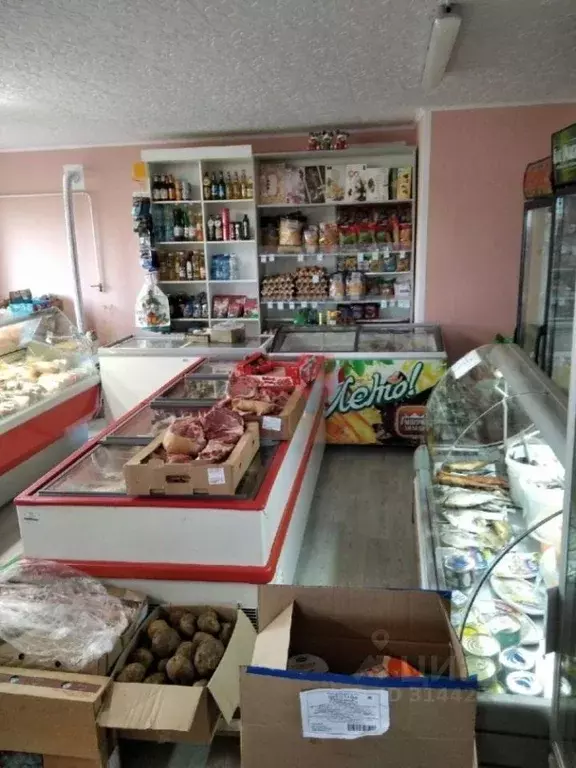 Торговая площадь в Пензенская область, Пензенский район, ... - Фото 1