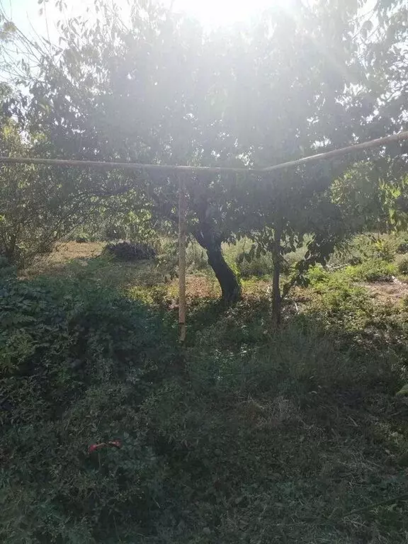 Дом в станица Васюринская, Кирпичная улица, 53 (90 м) - Фото 1