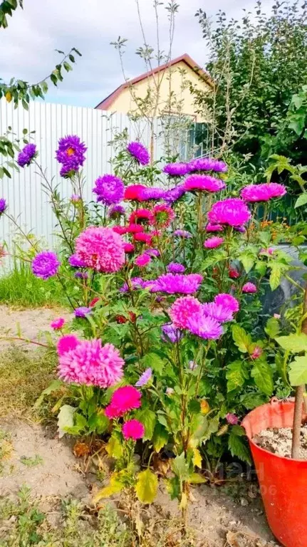 Дом в Саратовская область, Вольск Меловой пер., 13 (35 м) - Фото 1