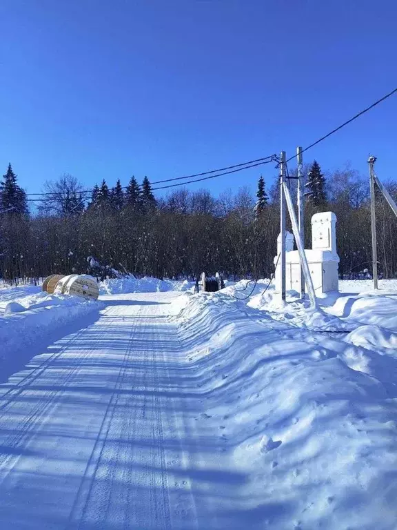 Участок в Московская область, Ступино городской округ, с. Разиньково ... - Фото 1