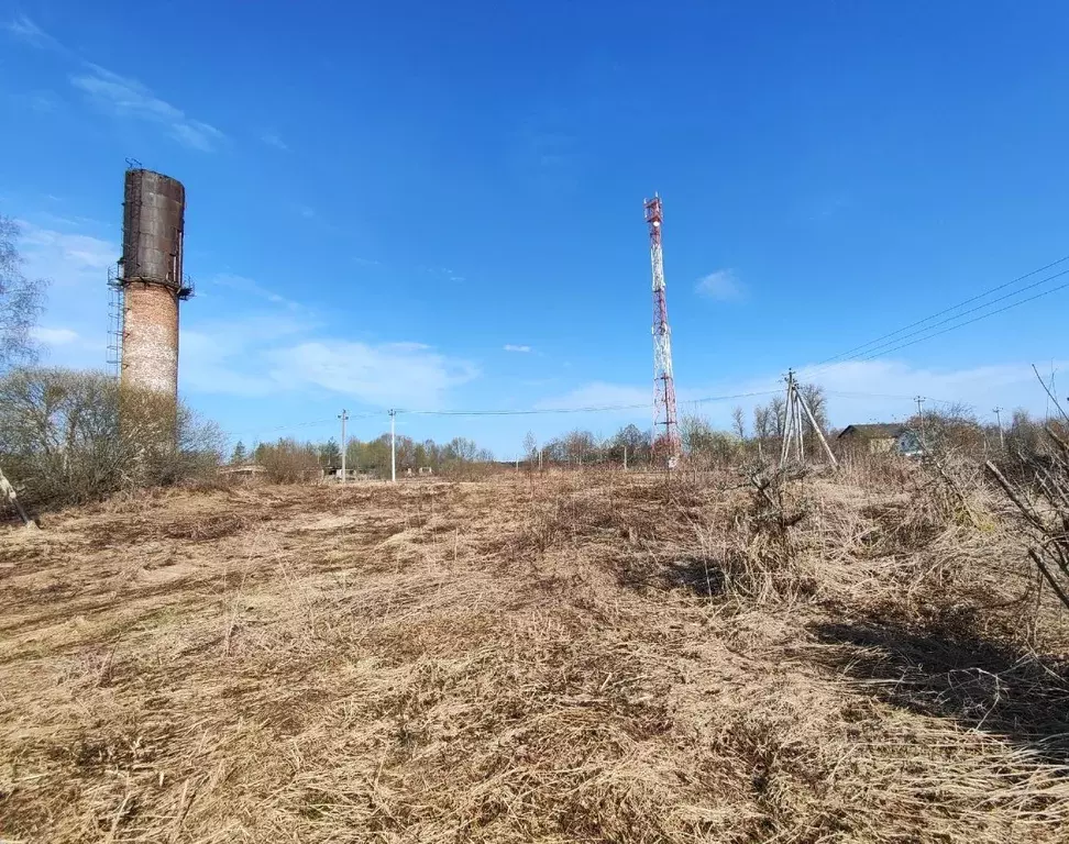 Участок в Московская область, Лотошино муниципальный округ, с. ... - Фото 2