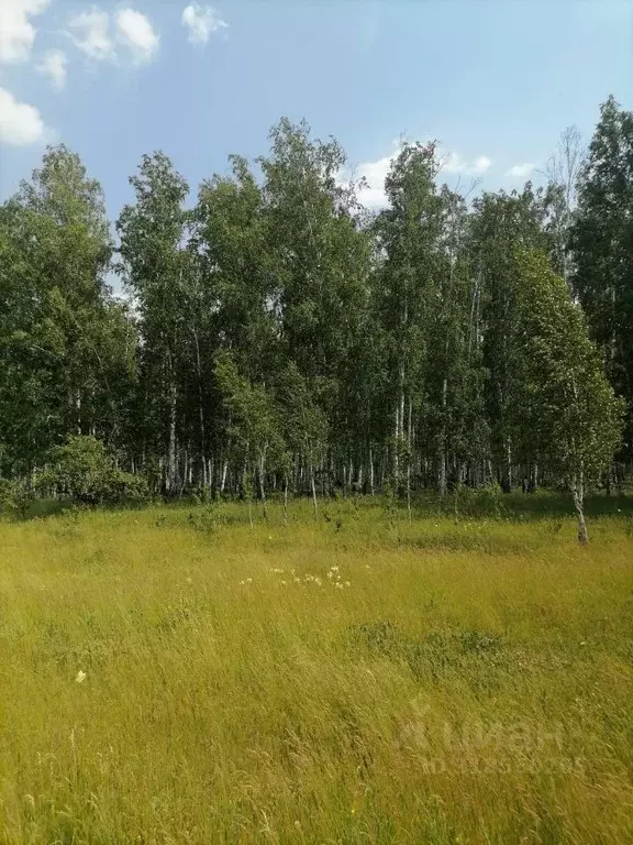 Участок в Челябинская область, Красноармейский муниципальный округ, ... - Фото 0