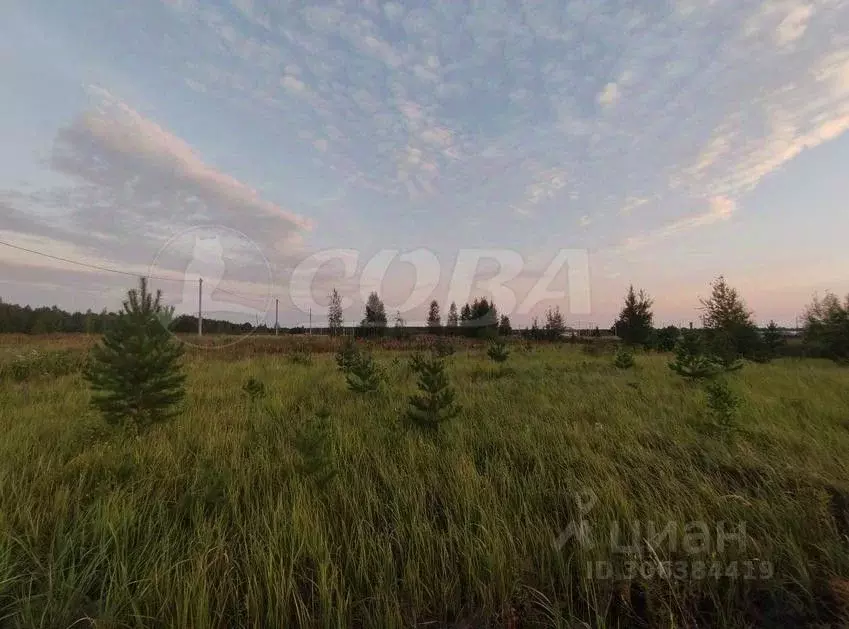 Участок в Тюменская область, Нижнетавдинский район, с. Тюнево  (7.5 ... - Фото 0