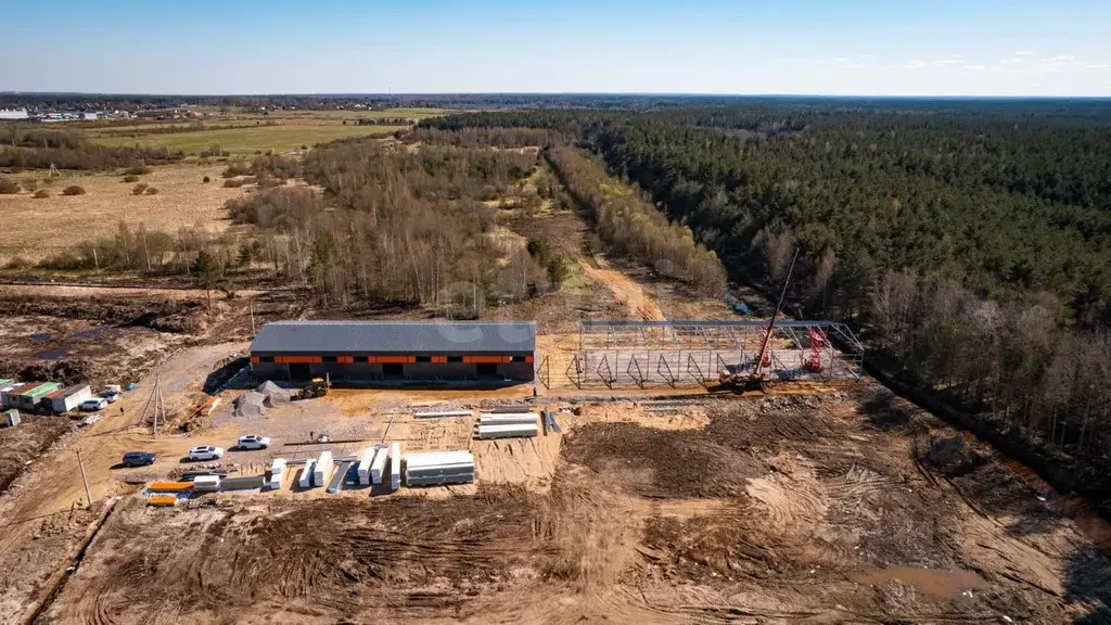Склад в Ленинградская область, Ломоносовский район, Пениковское с/пос, ... - Фото 2
