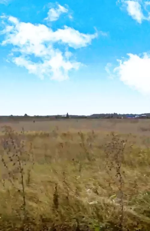 Участок в Омская область, Омский район, с. Надеждино, Зеленый берег кп ... - Фото 1