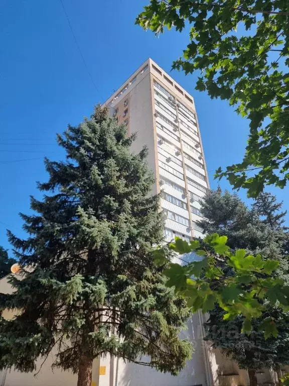 Студия Ростовская область, Ростов-на-Дону Пушкинская ул., 215 (36.0 м) - Фото 0