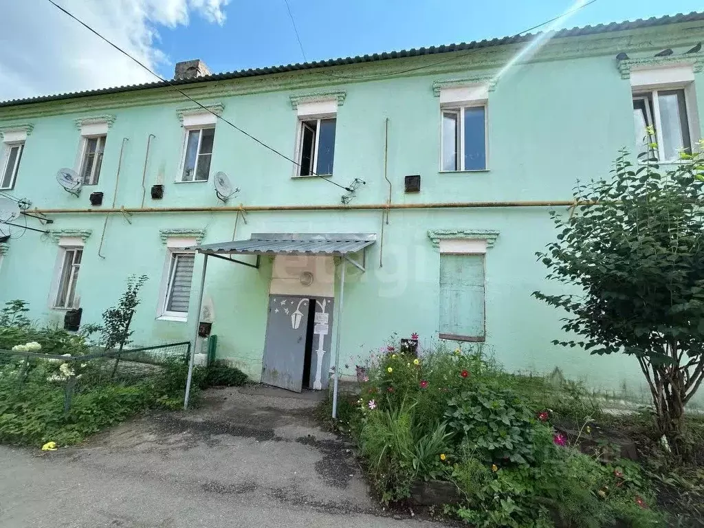 1-к кв. Московская область, Серпухов городской округ, д. Ланьшино ул. ... - Фото 2