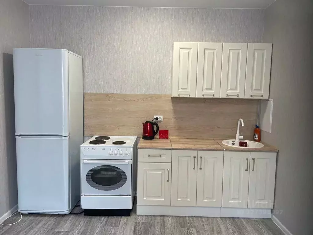 Студия Новосибирская область, Новосибирский район, Станционный ... - Фото 1