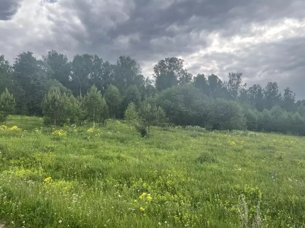 Участок в Челябинская область, Кусинский муниципальный округ, д. ... - Фото 1