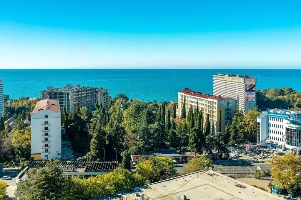 1-к кв. Краснодарский край, Сочи Светлана мкр, ул. Депутатская, 10 ... - Фото 2