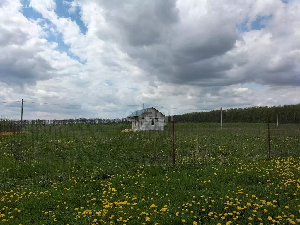 Дом в деревня Большая Каменка, Луговая улица (30 м) - Фото 0