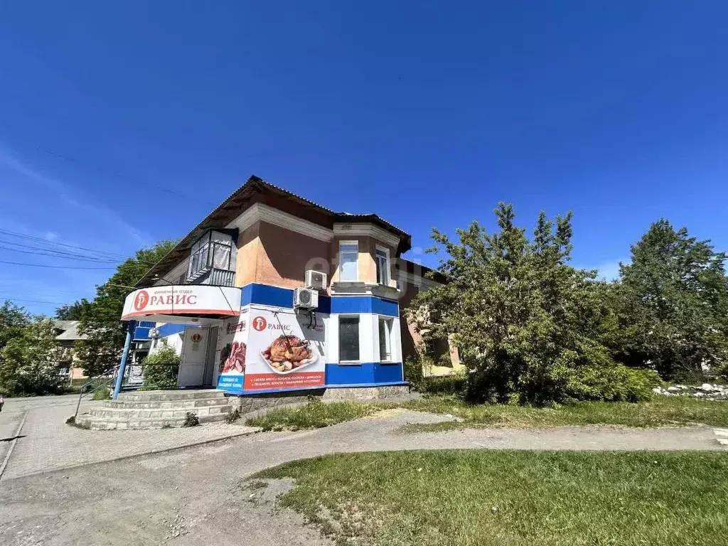 Торговая площадь в Челябинская область, Коркино ул. Цвиллинга, 20 (96 ... - Фото 2