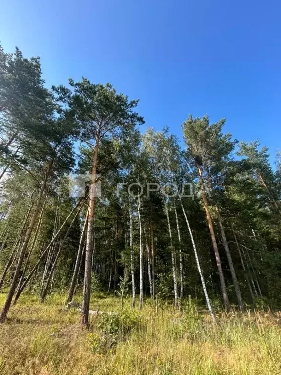 Участок в Московская область, Балашиха городской округ, с. Новый ... - Фото 1