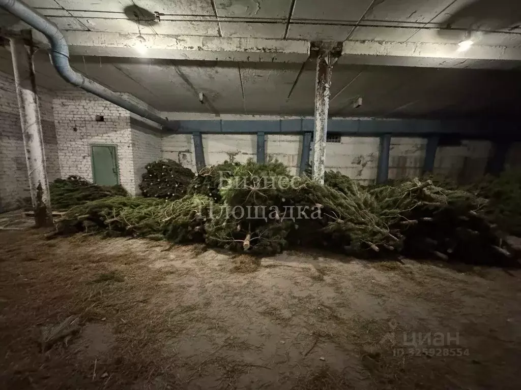 Помещение свободного назначения в Ульяновская область, Ульяновск ... - Фото 2