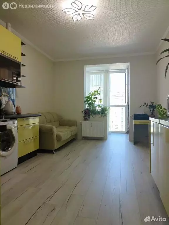 Квартира-студия: Санкт-Петербург, Плесецкая улица, 10 (22.9 м) - Фото 1